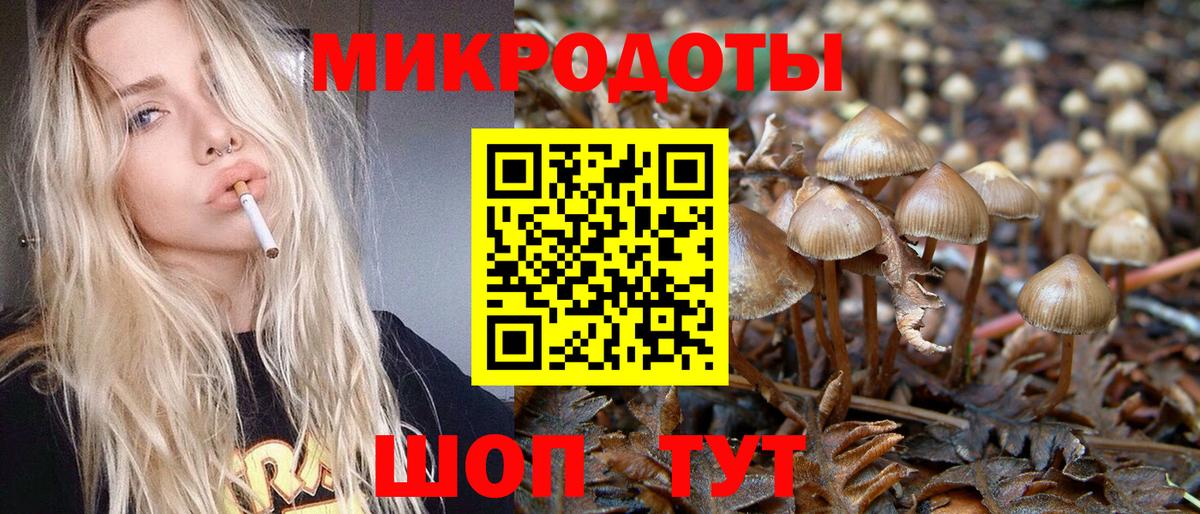 Псилоцибиновые грибы GOLDEN TEACHER  Вход с VPN  Курчалой  Псилоцибиновые грибы Cubensis 