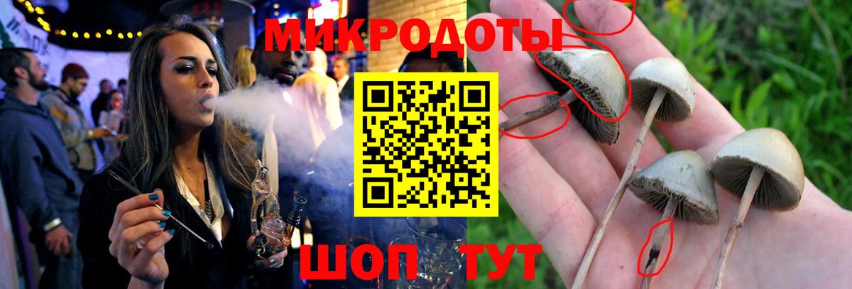 Галлюциногенные грибы GOLDEN TEACHER Курчалой